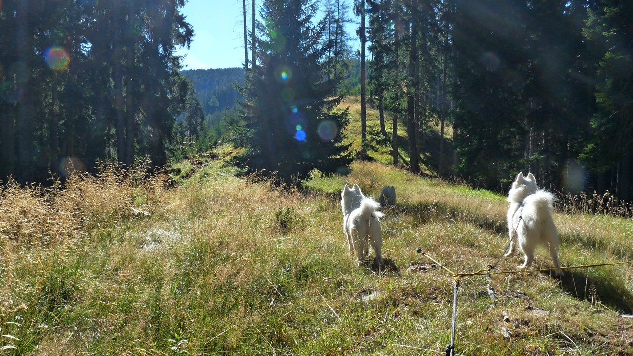 wie immer ist Lucy unser Trailer