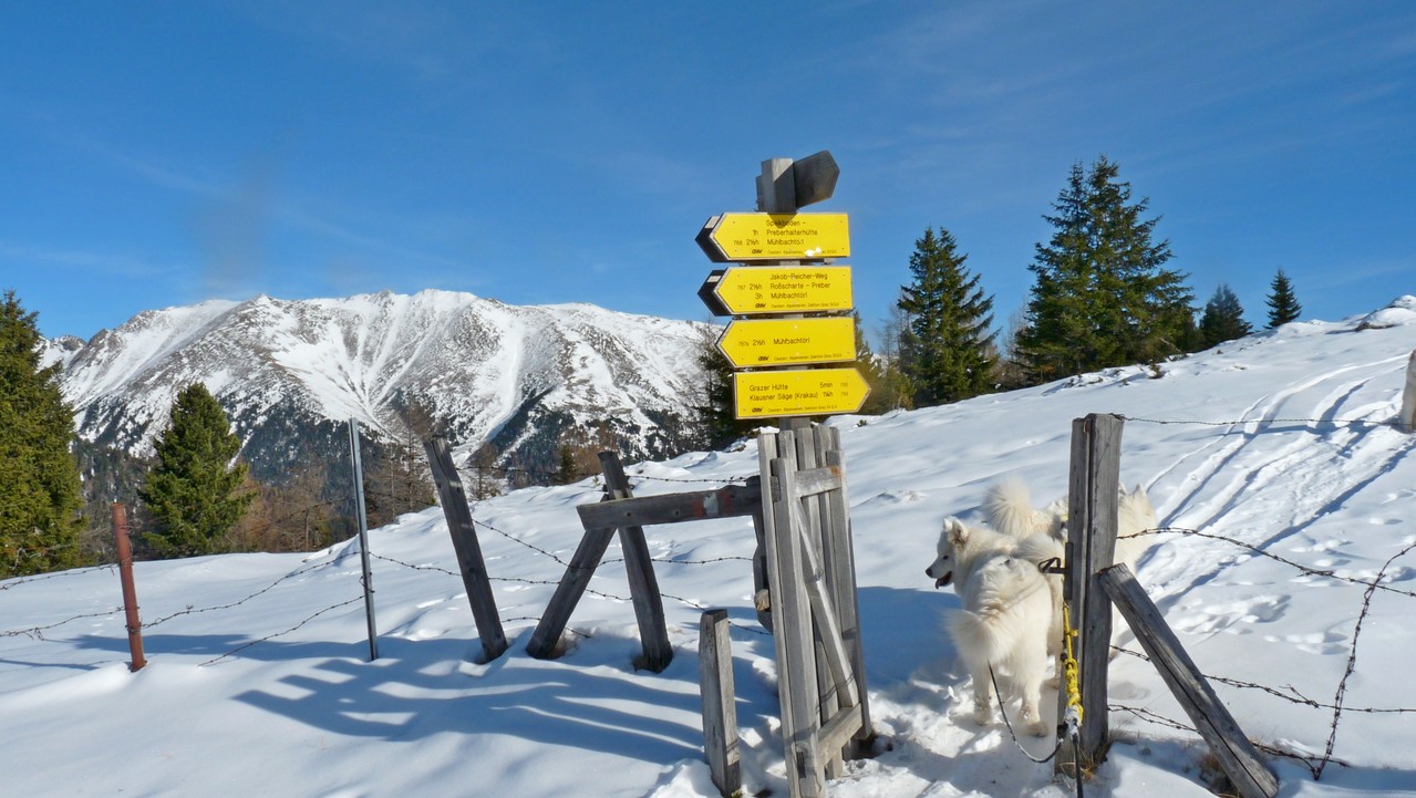 wir sind auf dem Sattel nahe der Grazer Hütte