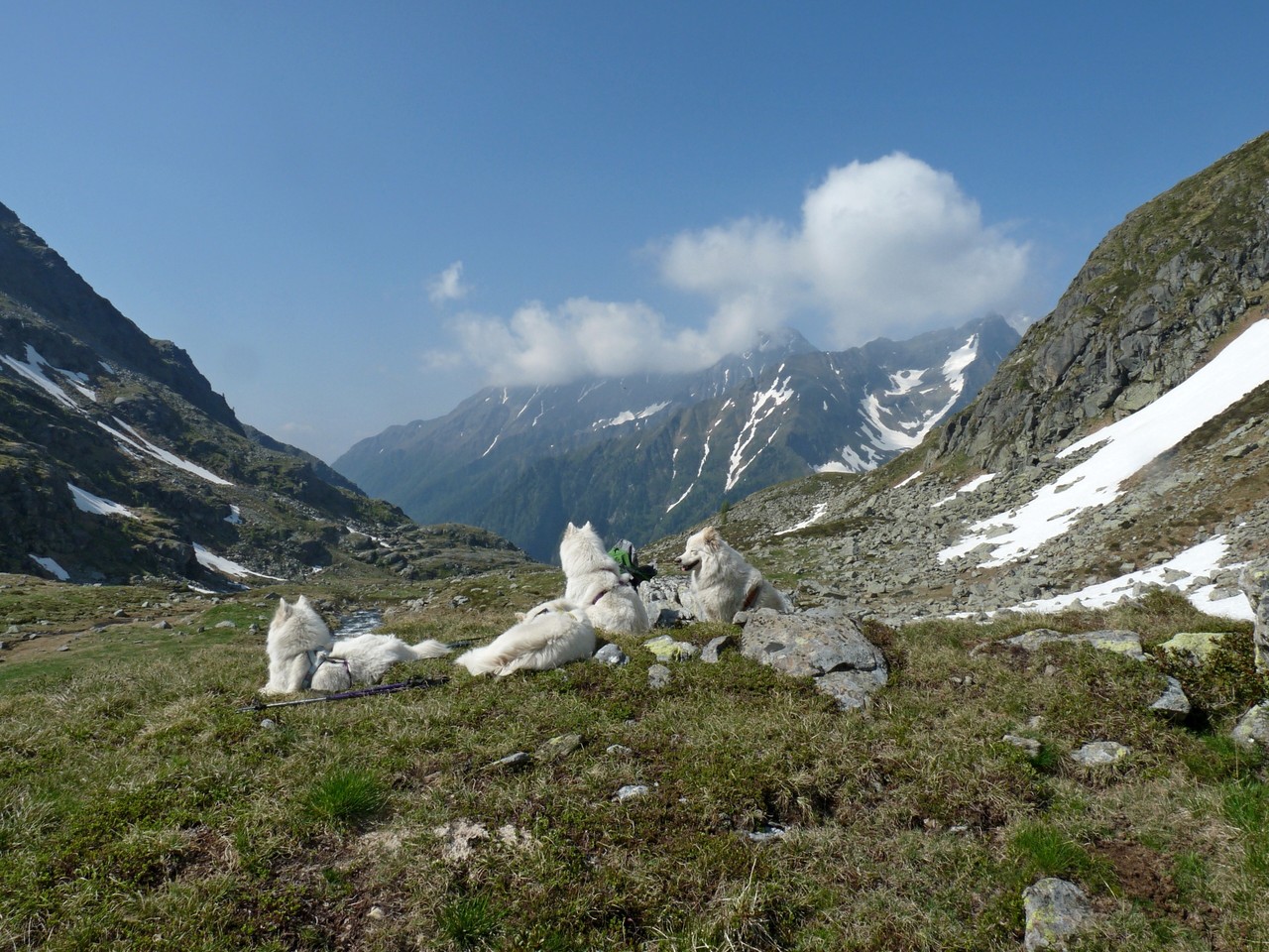 macht nichts, die Pause auf diesem Aussichtsplatzerl gefällt uns ebenso gut