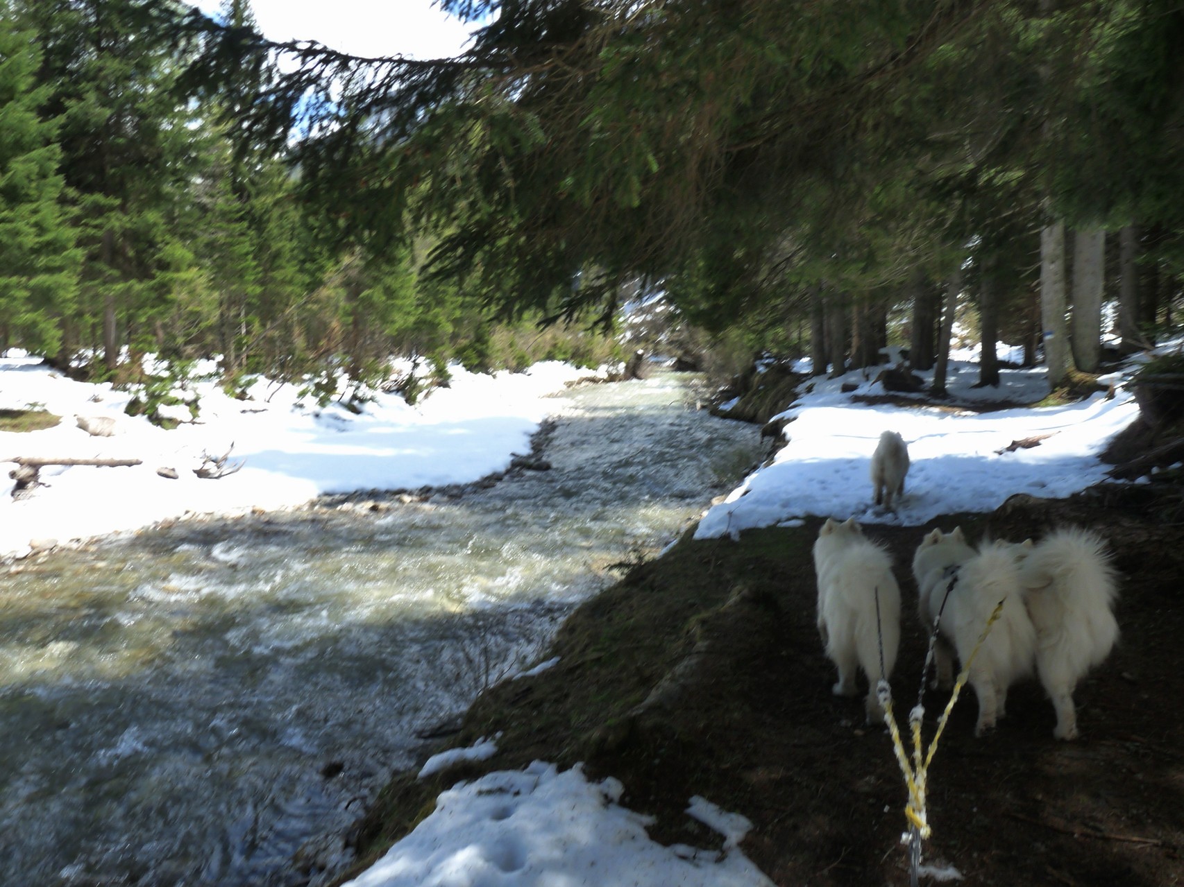 da wechseln wir auch talauswärts doch lieber in den rutschigen Schnee
