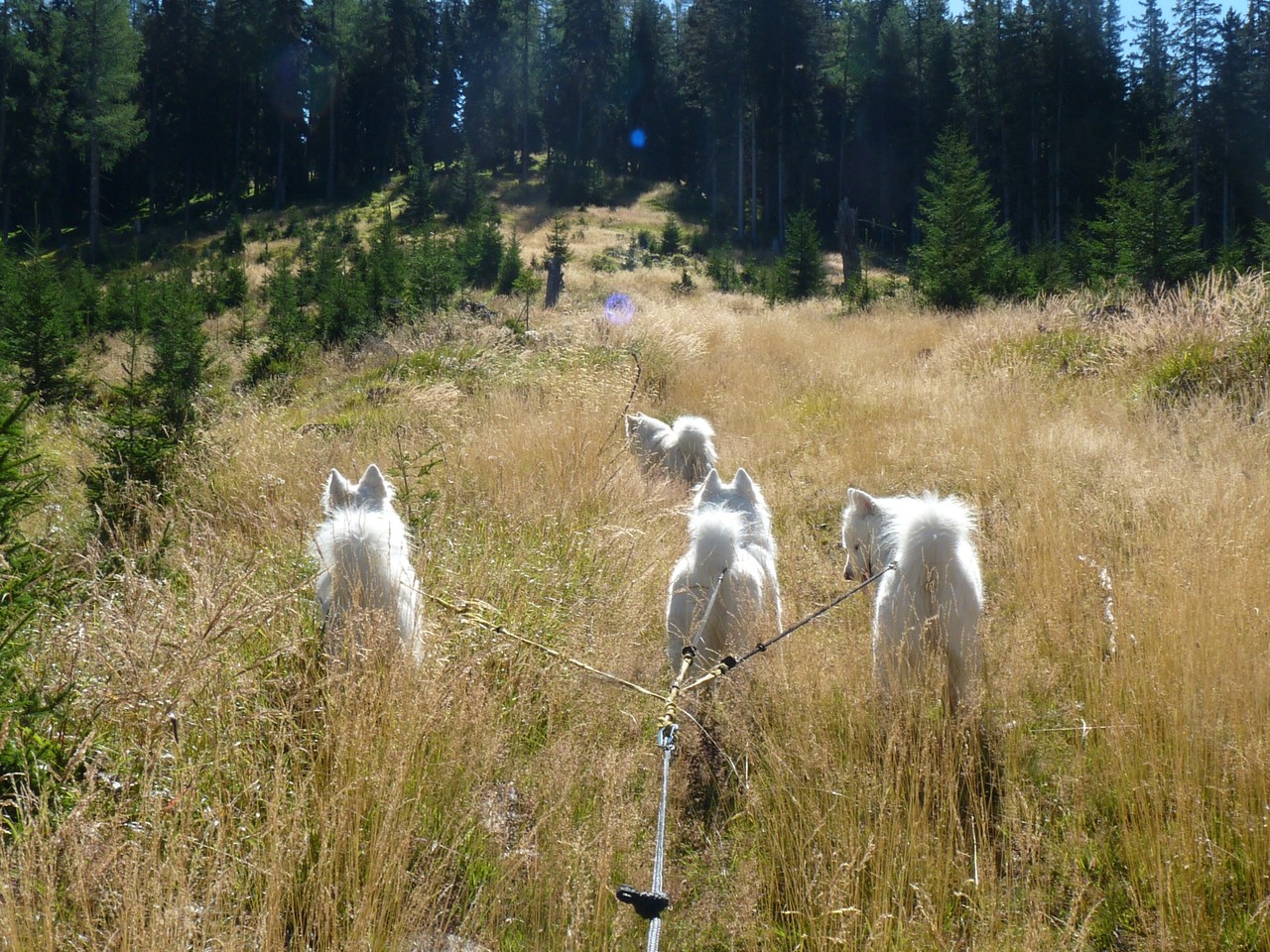 weiter gehts, da geht Jahr und Tag außer uns anscheinend niemand
