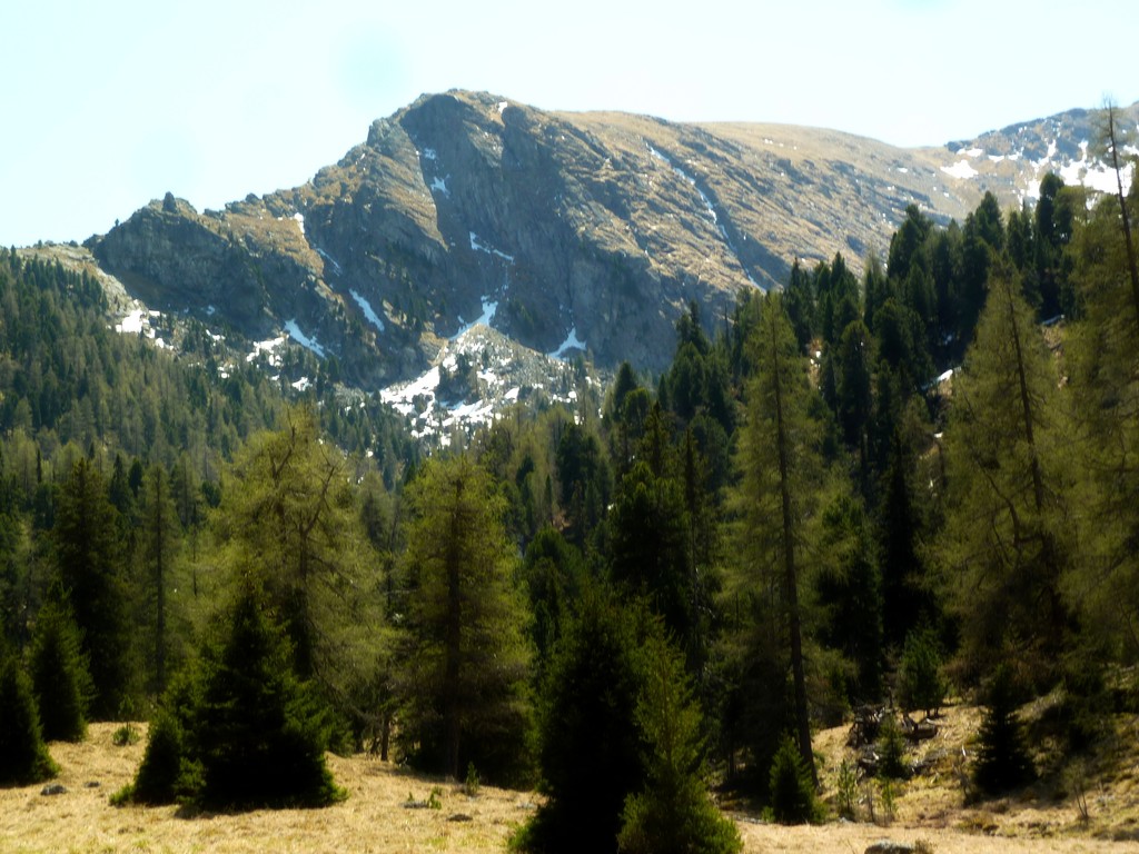 Blick zurück
